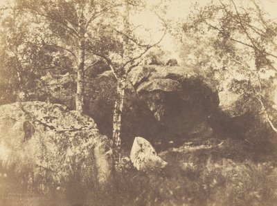 Fontainebleau - Charles Marville